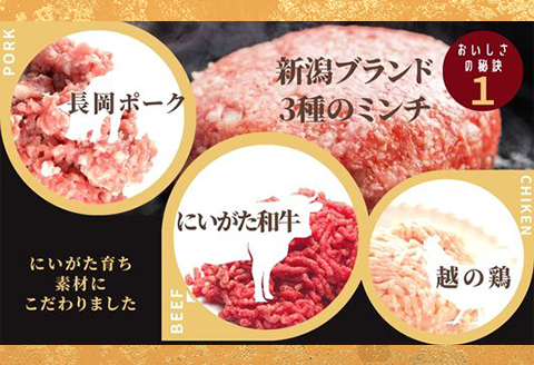 66-10美味極上 料亭ハンバーグステーキセット