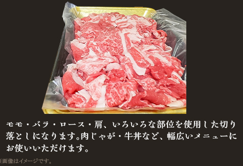 63-45A新潟県産 越後牛切り落とし500g