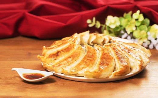 J2-13【フレンド】「パーティーぎょうざ」＆「にんにく入りパーティーぎょうざ」＆「しょうが入りパーティーぎょうざ」各30個×3袋　計90個