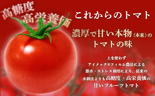 Q0-02これからのトマト プレミアム 45粒