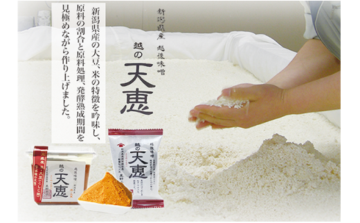 B1-03醸造蔵「星野本店」米こうじ味噌3種とかぐら南蛮味噌