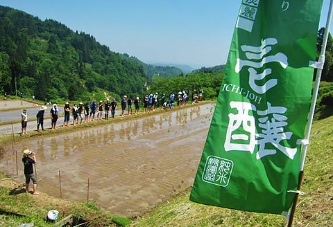 H4-14壱醸　粕取り焼酎三年貯蔵 25度