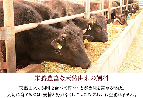 76-56A【訳あり】新潟県産牛（長岡産）ランプステーキ2枚（計300g）