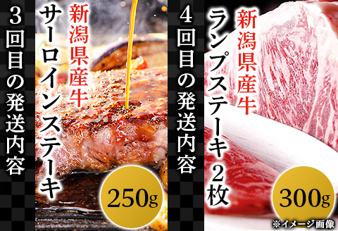 76-73A【5ヶ月連続お届け】牛肉食べ尽くし定期便