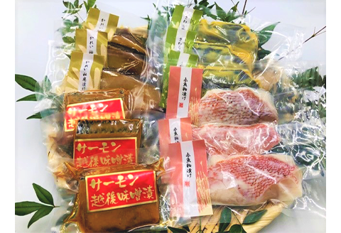 H7-96【訳あり】味付色々漬魚詰め合わせセット 厳選12切