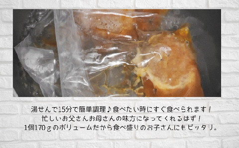 76-97B湯せんで簡単！煮込みハンバーグ食べ比べセット 3種2.5kg以上（170g×15個）