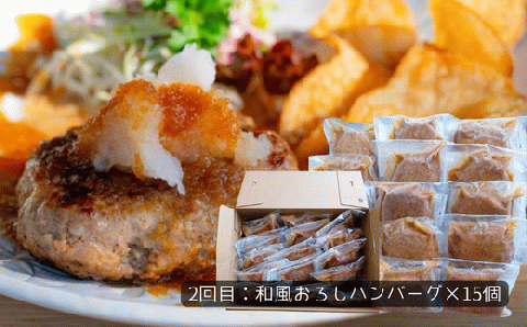 76-99A【3ヶ月連続お届け】湯せんで簡単！煮込みハンバーグ食べ比べセット 15個×3回お届け 総重量7.5kg以上！