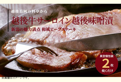 66-14B美味極上 長岡ポークステーキ柚子塩麹漬2枚と越後牛サーロインステーキ越後味噌漬2枚セット