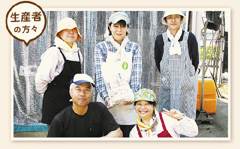 E1-24A新潟県長岡産コシヒカリ【玄米】パックご飯 150g×16個