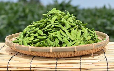 75E-19新潟県長岡産枝豆2.0kg【肴豆250g×8袋入り】