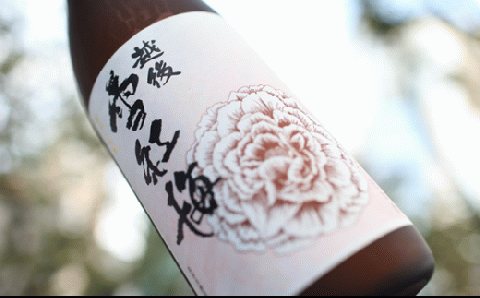 C0-02A越後雪紅梅　純米大吟醸