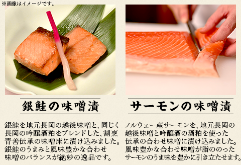 H9-23A鮭の味噌漬食べ比べセット（冷凍）