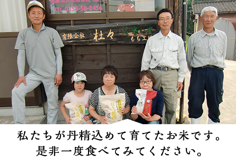 43-03杜々の妖精コシヒカリ6kg（2kg×3袋）全国名水百選栃尾産