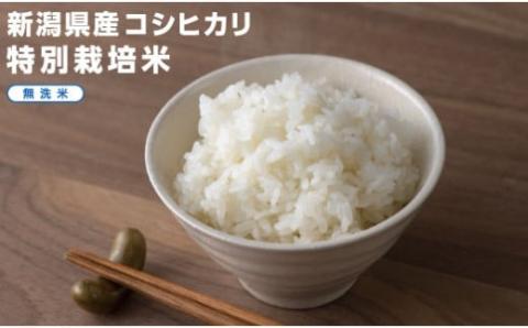 L2-02Super Express Rice 箱セット　新潟県長岡産コシヒカリ無洗米1.8kg[2合（300g）×6本]