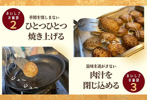66-10美味極上 料亭ハンバーグステーキセット