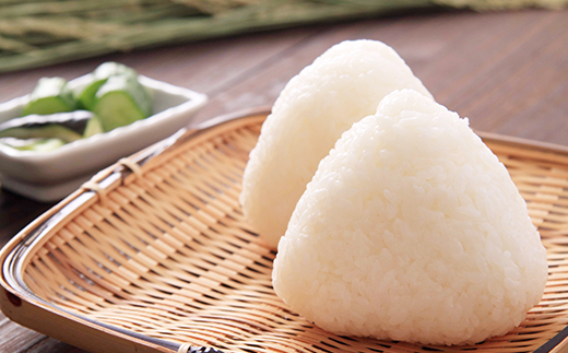 73-7N106【6ヶ月連続お届け】新潟県長岡産コシヒカリ10kg