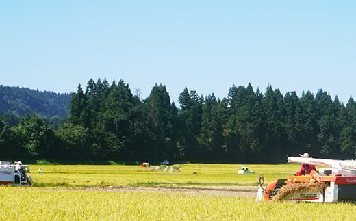 H0-7M053A【3ヶ月連続お届け】新潟県魚沼産コシヒカリ（長岡川口地域）無洗米5kg