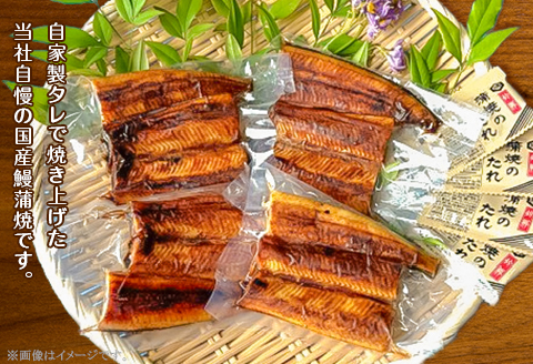 H7-83【簡単調理】国産鰻蒲焼　95g×4パック