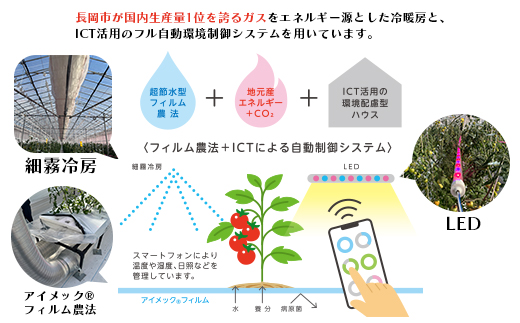 Q0-02これからのトマト プレミアム 45粒