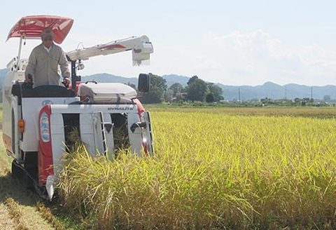 75-7N036【6ヶ月連続お届け】新潟県長岡産コシヒカリ3kg（特別栽培米）【2026年2月発送開始】
