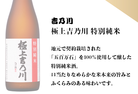 95-B0A極上吉乃川 吟醸・特別純米 720ml×2本セット