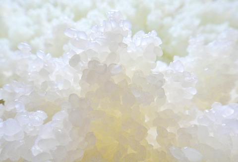 H4-02A壱醸 純米吟醸 無濾過原酒 720ml（長岡市旧栃尾地区棚田産越淡麗100%）【越銘醸】