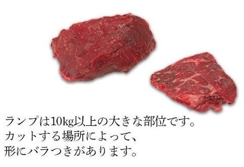 76-57B新潟県産牛（長岡産）サーロインステーキ450g＆ランプステーキ2枚（計300g）