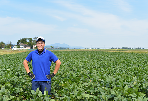 75E-TA新潟県長岡産枝豆【2.0kg×3回お届け】食べつくし定期コース