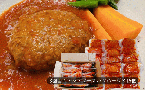 76-99A【3ヶ月連続お届け】湯せんで簡単！煮込みハンバーグ食べ比べセット 15個×3回お届け 総重量7.5kg以上！