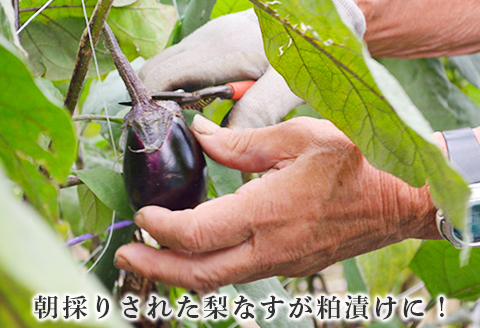 81-19梨なすの黄金漬（3個入×5袋）