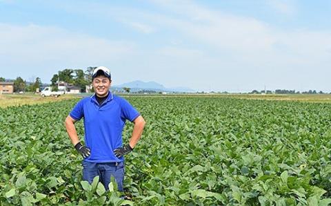 75E-19新潟県長岡産枝豆2.0kg【肴豆250g×8袋入り】