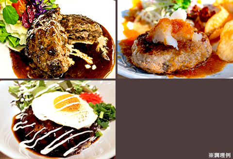 76-97B湯せんで簡単！煮込みハンバーグ食べ比べセット 3種2.5kg以上（170g×15個）