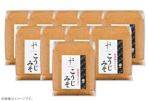 81-14コシヒカリ使用こうじみそ　1kg×10個