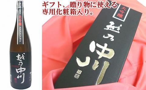 C1-A9A大吟醸飲み比べセット（1800ml×2本）