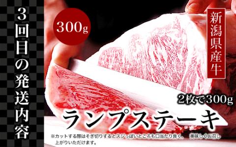 76-77A【3ヶ月連続お届け】【訳あり】迷ったらこれ！豪華！！ステーキ定期便