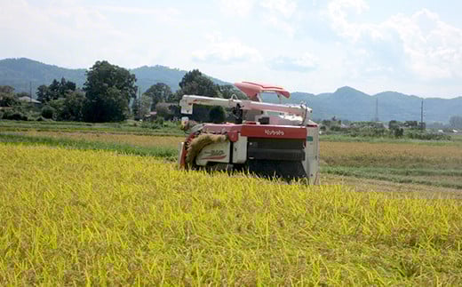 75-7K201新潟県長岡産特別栽培米こしいぶき20kg（5kg×4袋）【2026年3月発送】