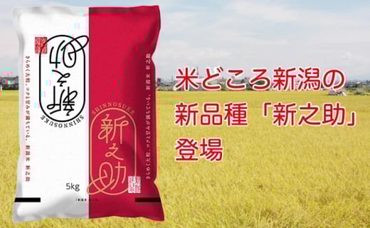 A4-02A新潟県長岡産コシヒカリ・新之助　各5kg食べ比べセット