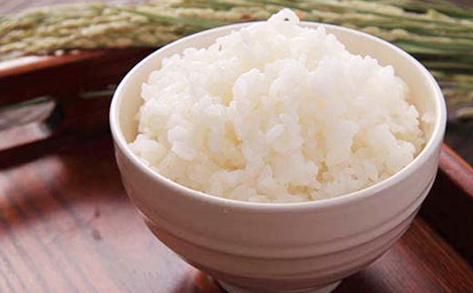 73-7N106【6ヶ月連続お届け】新潟県長岡産コシヒカリ10kg