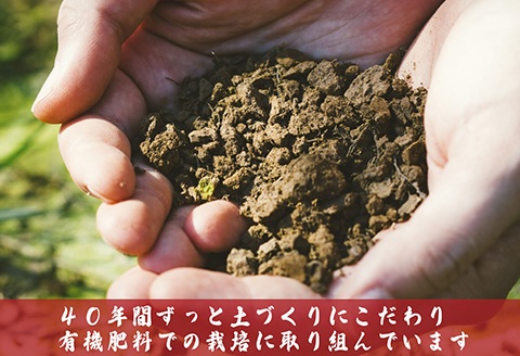 J8-7MN056A【6ヶ月連続お届け】新潟県長岡産コシヒカリ無洗米5kg（特別栽培米）