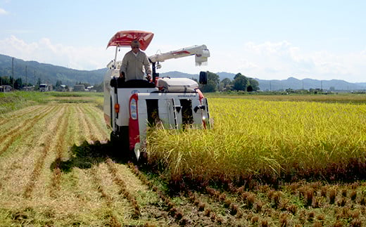75-7K103【3ヶ月連続お届け】新潟県長岡産特別栽培米こしいぶき10kg（5kg×2袋）【2026年3月発送開始】