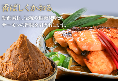 66-17A美味極上　佐渡ゴールドサーモンの長岡越後味噌漬 8切入