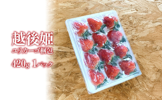 O9-12新潟県長岡産いちご「越後姫」420g 1パック