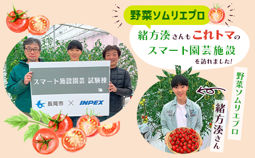 Q0-01これからのトマト 45粒