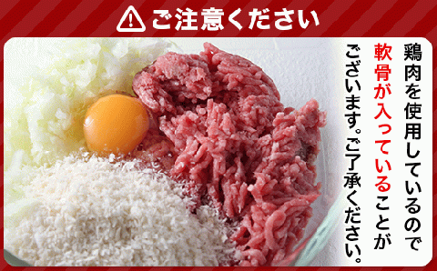 76-A4B湯せんで簡単！デミグラス煮込みハンバーグ 10個セット（170g×10個）