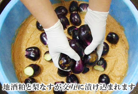 81-19梨なすの黄金漬（3個入×5袋）