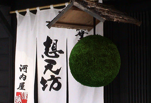 H4-50B想天坊 純米しぼりたて生原酒 720ml×２本【河忠酒造】（2025年11月下旬以降発送）