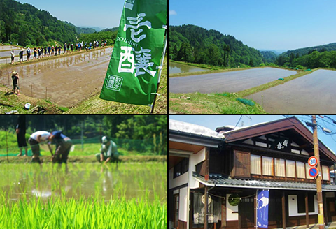 H4-52A新潟県限定　壱醸シリーズ３種飲み比べセット720ml×3本【越銘醸株式会社】