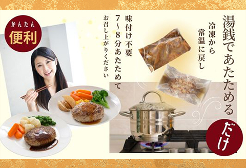 66-10美味極上 料亭ハンバーグステーキセット