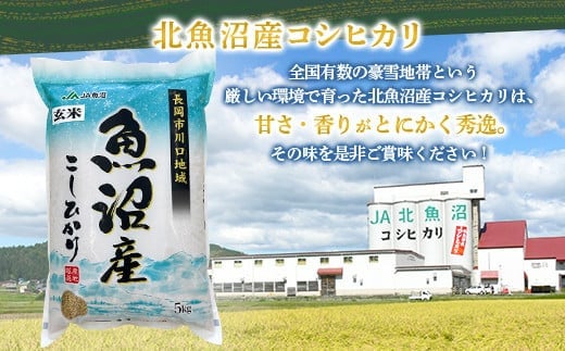 7F10-1【玄米】北魚沼産コシヒカリ10kg（長岡川口地域）
