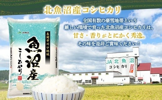 7K10B-Z【12ヶ月連続お届け】北魚沼産コシヒカリ（長岡川口地域）10kg【2026年1月発送開始】